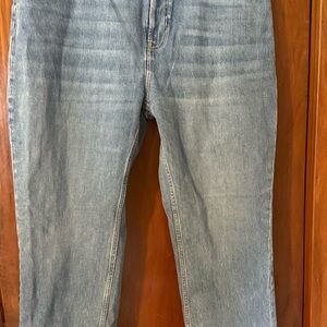 NWT Everlane Original Cheeky High Rise Strait Leg Light Wash Denim Jeans Size 33